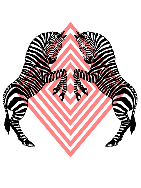 Zebras 